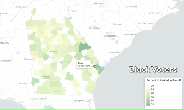 Georgia runoff
